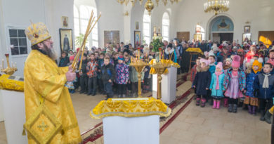 Престольный праздник в храме свв. бесср. Космы и Дамиана с. Бабино