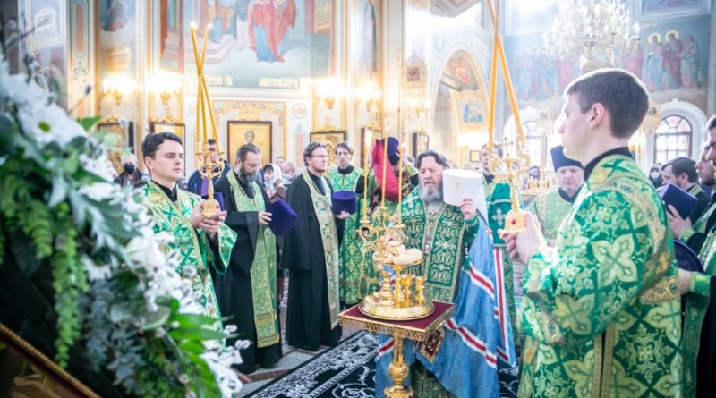 Архипастырское служение в Неделю Цветоносную