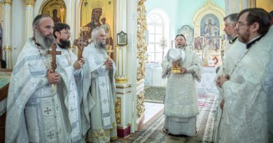 Архипастырское служение в праздник Вознесения Господня