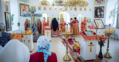 Престольный праздник в храме святых Космы и Дамиана с. Бабино