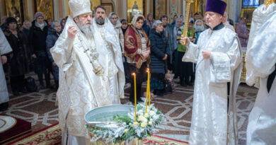 Служение митр. Викторина в крещенский сочельник